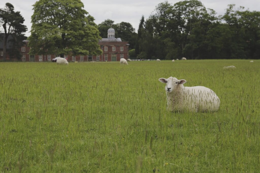 Calke Abbey